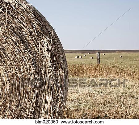 Stock Image - Circular Hay Bale. Fotosearch