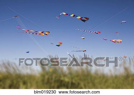 Colorful kites flying at beach View Large Photo Image Stock Image - Colorful kites flying at beach. Fotosearch