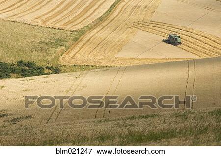 Combine Harvester in Golden Fields View Large Photo Image Stock Photo - Combine Harvester in Golden Fields. Fotosearch