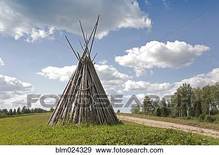 Conic Wood Structure View Large Photo Image Stock Photo - Conic Wood Structure. Fotosearch