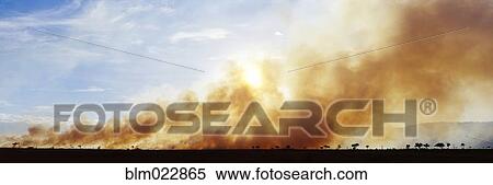 Stock Photography - Controlled Burn Masai Mara Game Reserve. Fotosearch