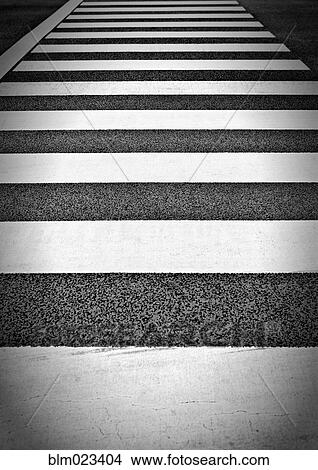 Crosswalk, Tokyo, Japan View Large Photo Image Picture - Crosswalk, Tokyo, Japan. Fotosearch