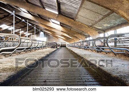 Stock Image - Dairy farm barn buildings. Fotosearch