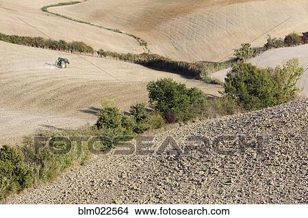 Picture - Desolate, Plowed Landscape. Fotosearch