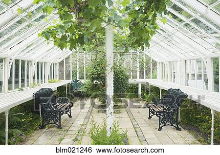 Elegant Greenhouse View Large Photo Image Stock Photograph - Elegant Greenhouse. Fotosearch