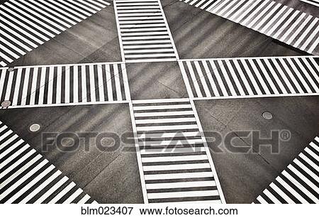 Empty crosswalk, Shibuya Crossing, Shibuya, Tokyo, Japan View Large Photo Image Stock Photo - Empty crosswalk, Shibuya Crossing, Shibuya, Tokyo, Japan. Fotosearch