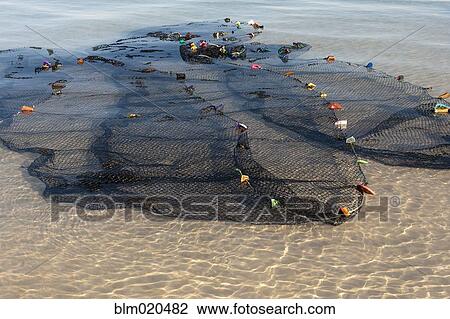 Stock Image - Fishing nets spread out in the shallow water on the shore in Ankasy. Fotosearch
