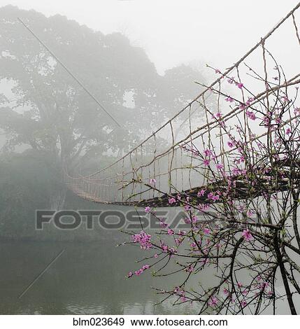 Footbridge Suspended Over a Foggy River View Large Photo Image Stock Photo - Footbridge Suspended Over a Foggy River. Fotosearch