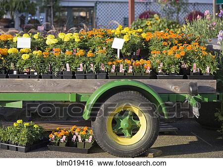 Stock Photograph - Garden Store. Fotosearch
