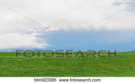 Stock Photography - Green grassy field and blue sky with white clouds, Portland. Fotosearch
