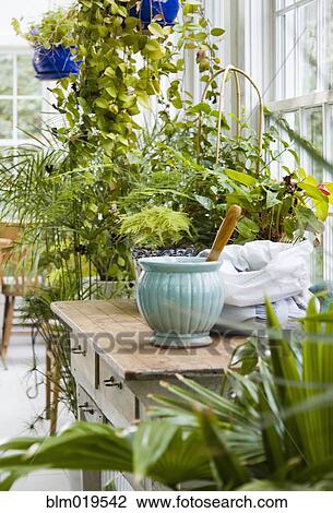 Greenhouse Interior View Large Photo Image Stock Image - Greenhouse Interior. Fotosearch
