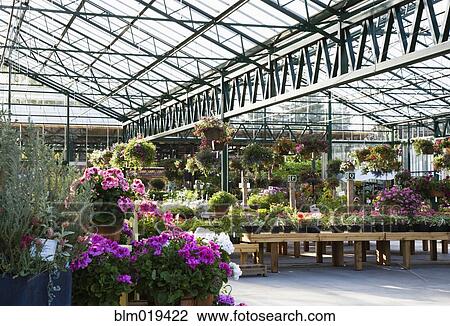 Greenhouse View Large Photo Image Stock Image - Greenhouse. Fotosearch