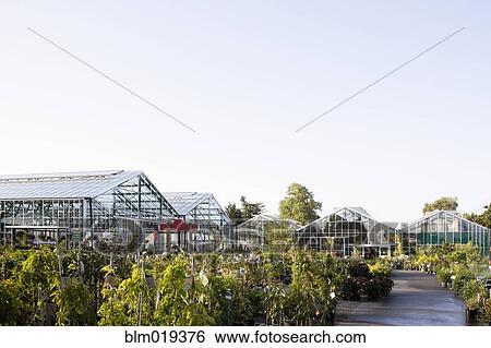 Greenhouses View Large Photo Image Stock Photograph - Greenhouses. Fotosearch