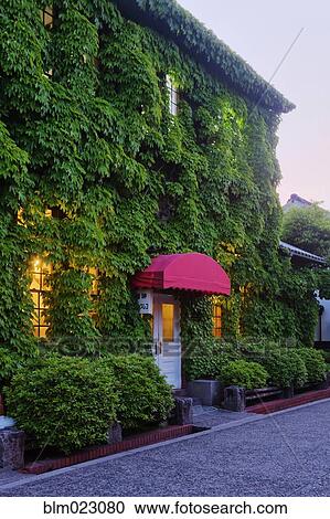 Stock Image - House Covered in Ivy. Fotosearch