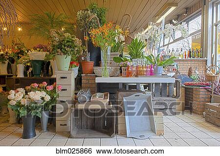 Interior of a florist shop with fresh cut flowers View Large Photo Image Stock Photograph - Interior of a florist shop with fresh cut flowers. Fotosearch