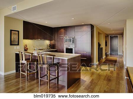 Stock Photography - Kitchen in Luxury Condo. Fotosearch