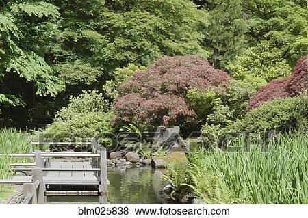 Stock Photo - Koi pond around the Zig Zag Bridge in the traditionally designed Japanese garden. Fotosearch