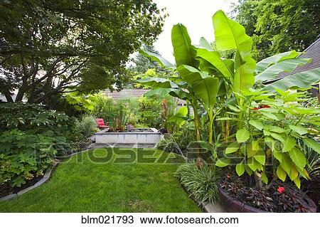 Landscaped Garden View Large Photo Image Stock Image - Landscaped Garden. Fotosearch