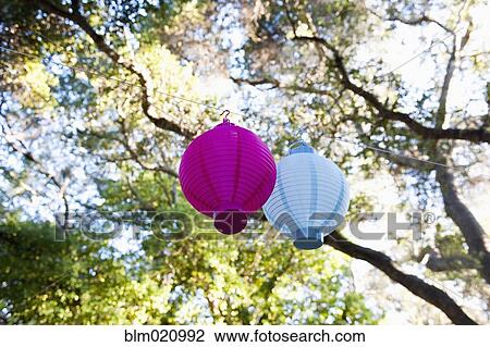 Lanterns Hanging Tree View Large Photo Image Stock Image - Lanterns Hanging Tree. Fotosearch