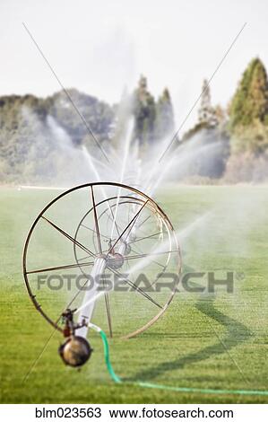 Large water sprinklers and commercial horticultural watering system View Large Photo Image Stock Image - Large water sprinklers and commercial horticultural watering system. Fotosearch