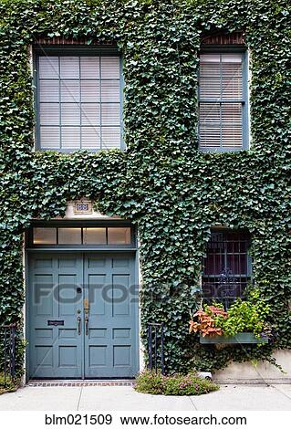 Leaf Covered Building View Large Photo Image Stock Photo - Leaf Covered Building. Fotosearch