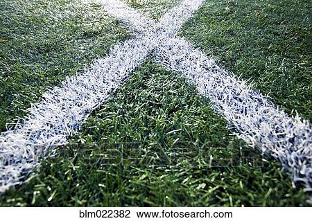 Stock Image - Lines on Sports Field. Fotosearch