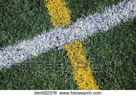 Lines on Sports Field View Large Photo Image Stock Photograph - Lines on Sports Field. Fotosearch