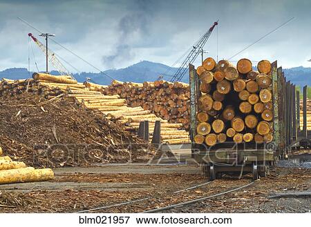 Logging Mill and Shipment View Large Photo Image Stock Photo - Logging Mill and Shipment. Fotosearch