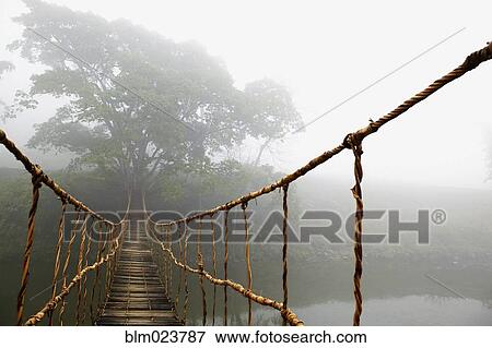Long Rope Bridge View Large Photo Image Stock Photo - Long Rope Bridge. Fotosearch