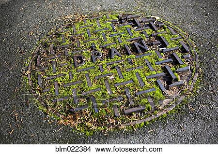 Moss-Covered Manhole Cover View Large Photo Image Picture - Moss-Covered Manhole Cover. Fotosearch