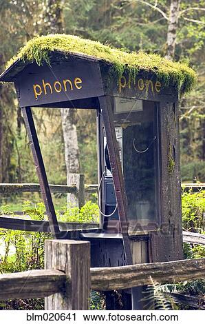 Moss Covered Phone Booth View Large Photo Image Stock Image - Moss Covered Phone Booth. Fotosearch