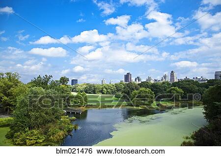Office Buildings from a Park View Large Photo Image Stock Photograph - Office Buildings from a Park. Fotosearch