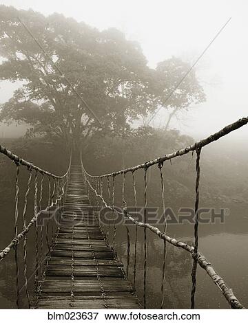 Old Walking Bridge View Large Photo Image Stock Photo - Old Walking Bridge. Fotosearch