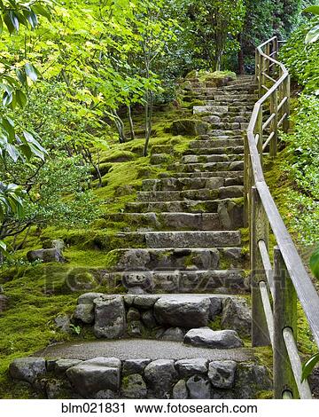 Outdoor Stone Stairway View Large Photo Image Stock Image - Outdoor Stone Stairway. Fotosearch