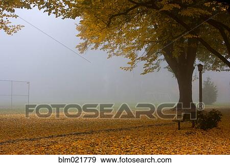 Park in Autumn View Large Photo Image Stock Photo - Park in Autumn. Fotosearch