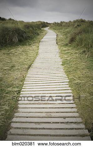 Path through the dunes to the beach View Large Photo Image Stock Image - Path through the dunes to the beach. Fotosearch