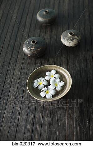 Petals of the orchid flower in a bowl of water View Large Photo Image Stock Photo - Petals of the orchid flower in a bowl of water. Fotosearch