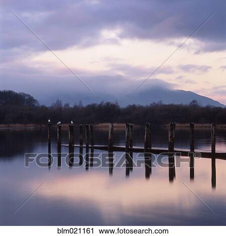 Stock Image - Pier Pilings, Cumbria, England. Fotosearch