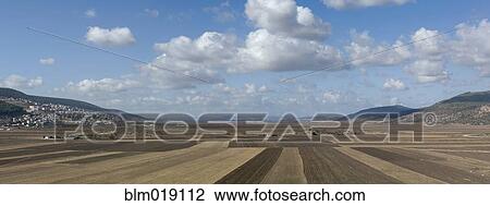 Stock Image - Plowed Agricultural Fields in the Beit Netofa Valley. Fotosearch