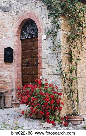 Stock Photo - Potted Plant in Front of Arched Doorway. Fotosearch