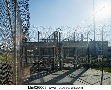 prison wire fence