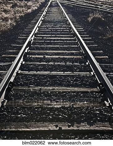 Railroad Tracks View Large Photo Image Stock Image - Railroad Tracks. Fotosearch