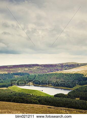 Stock Image - Reservoir in the English Countryside. Fotosearch