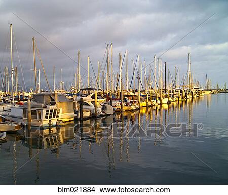 Row of Boats Anchored in Marina View Large Photo Image Picture - Row of Boats Anchored in Marina. Fotosearch