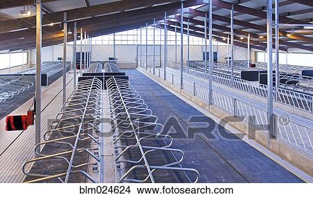 Row of Cattle Cubicles View Large Photo Image Picture - Row of Cattle Cubicles. Fotosearch