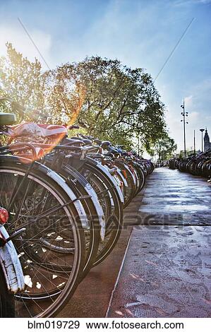Stock Photo - Rows of Bicycles. Fotosearch