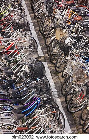 Rows of Parked Bicycles View Large Photo Image Stock Image - Rows of Parked Bicycles. Fotosearch