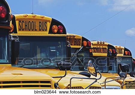 Rows of School Buses View Large Photo Image Picture - Rows of School Buses. Fotosearch