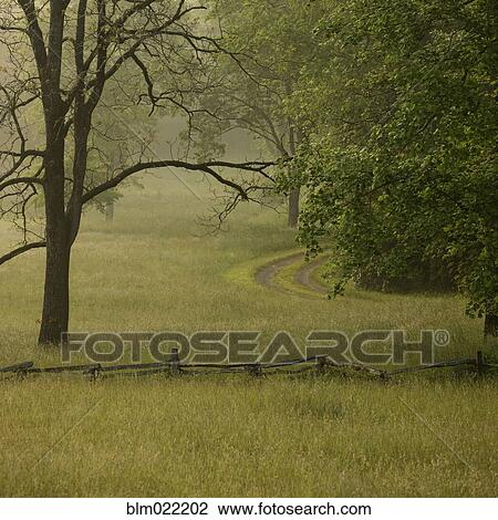 Rural Lane in Morning Fog View Large Photo Image Stock Image - Rural Lane in Morning Fog. Fotosearch