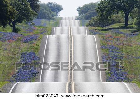 Scenic Country Road View Large Photo Image Stock Photo - Scenic Country Road. Fotosearch